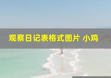 观察日记表格式图片 小鸡